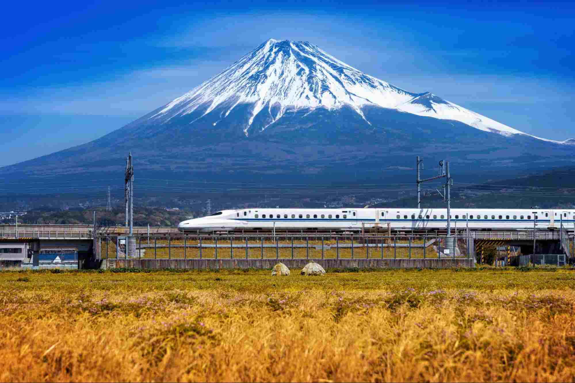 Shinkansen: un icono de la tecnología ferroviaria japonesa 