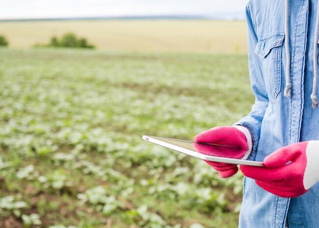 Sensores de suelo Claves para una agricultura moderna y sostenible