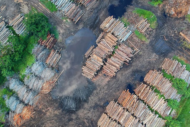 Diferencias entre madera reciclada, recuperada y reusada